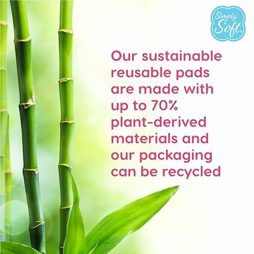 Bamboo stalks with text about sustainable reusable pads.