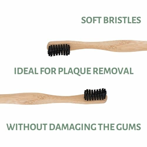 Bamboo toothbrush with soft bristles for plaque removal without damaging gums.