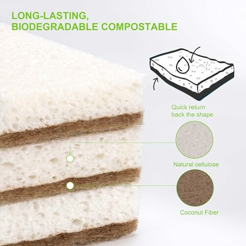 Biodegradable sponge with natural cellulose and coconut fiber layers.