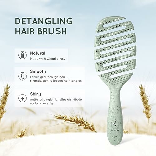 Eco-friendly detangling hair brush with features.