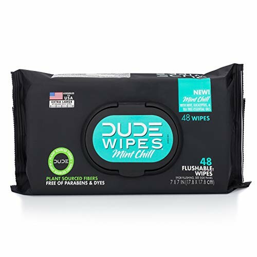 Package of Dude Wipes Mint Chill flushable wipes.