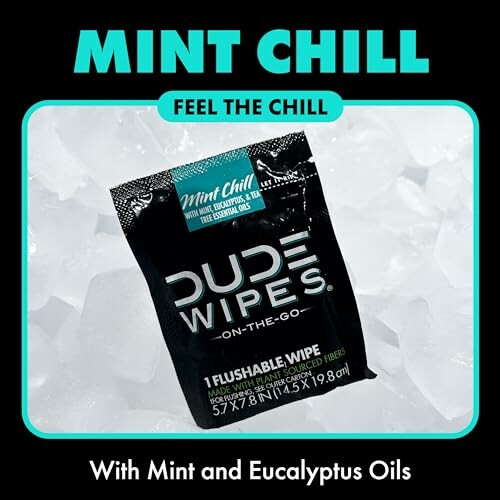 Dude Wipes Mint Chill on ice with text 'Feel the Chill'.