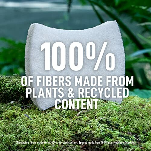 Sponge made from plant and recycled fibers on moss.