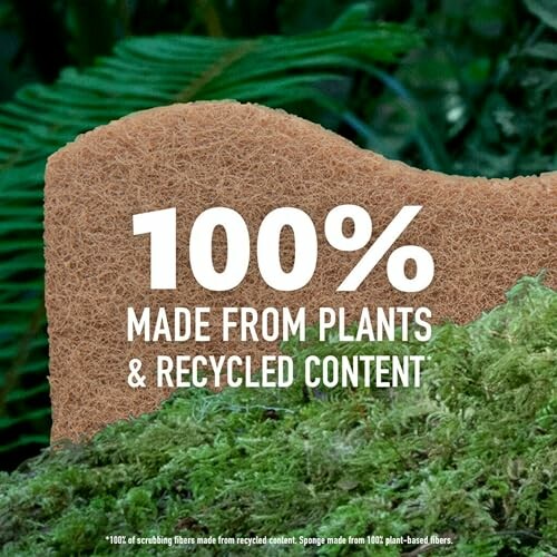 Sponge made from plants and recycled content