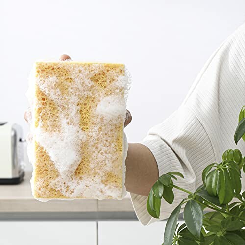 Hand holding a soapy yellow sponge near a green plant