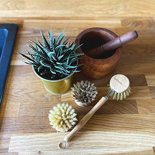 Wooden countertop with a potted plant, mortar and pestle, and cleaning brushes.