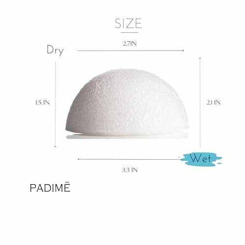 Konjac sponge size comparison with dimensions.