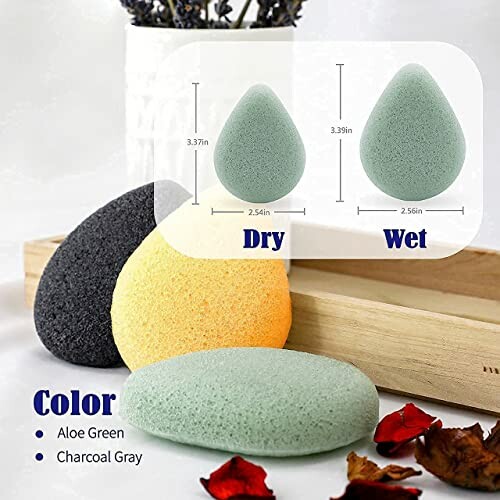 Konjac sponges in dry and wet states with color options.