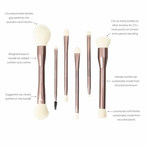 Set of six makeup brushes with labeled features.