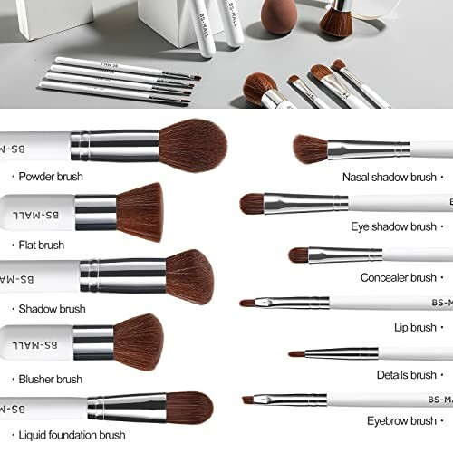 Set of various makeup brushes with labels for different uses.