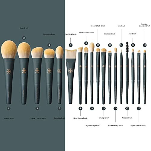 Set of various makeup brushes arranged in two rows on a split background.