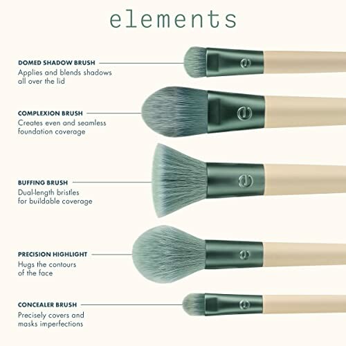 Image showing five types of makeup brushes with descriptions: domed shadow brush, complexion brush, buffing brush, precision highlight brush, and concealer brush.