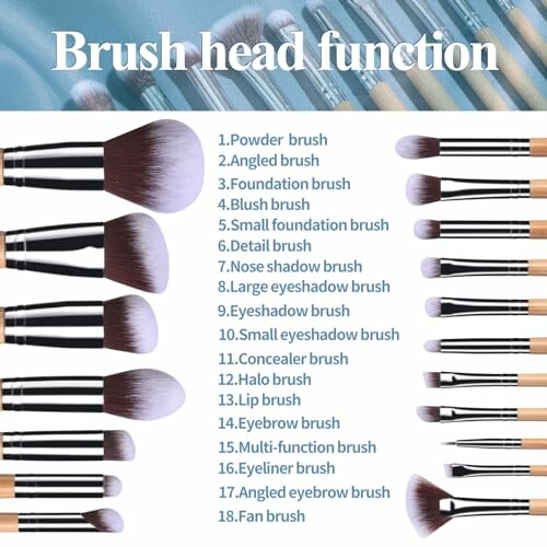 Image showing various makeup brushes with their functions listed.