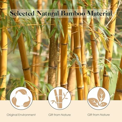 Selected natural bamboo material with environmental icons.