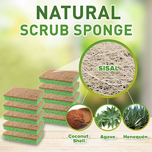 Natural Sponge by Scrubit