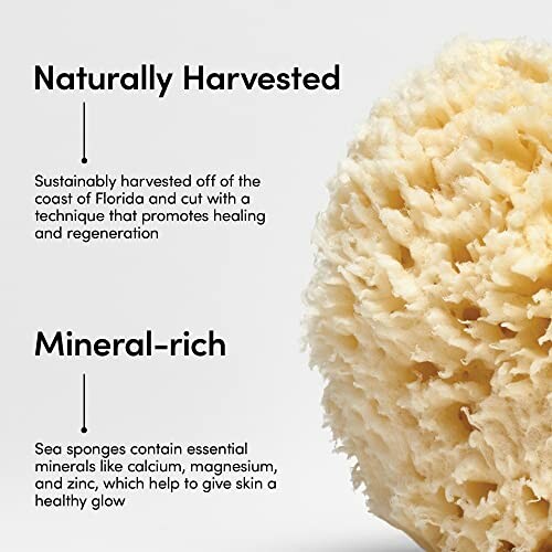 LATHER Natural Sea Wool Sponge