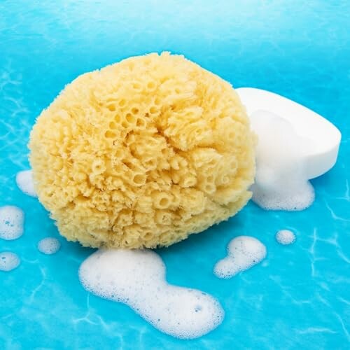 Natural sea sponge with soap and bubbles on blue background