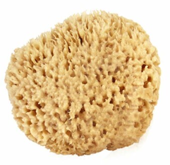 Sea Wool Sponge 6-7"