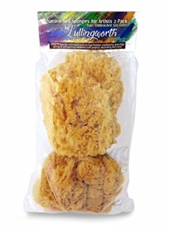 Natural Sea Sponges for Artists