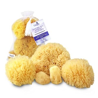 Various sizes of natural sea sponges in a multipack.