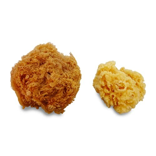 Two natural sea sponges of different sizes on a white background.