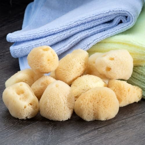 Sea Soft Silk Sponge