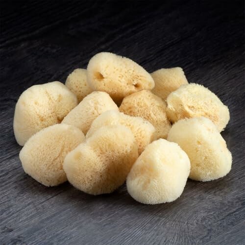 A pile of natural sea sponges on a dark surface.