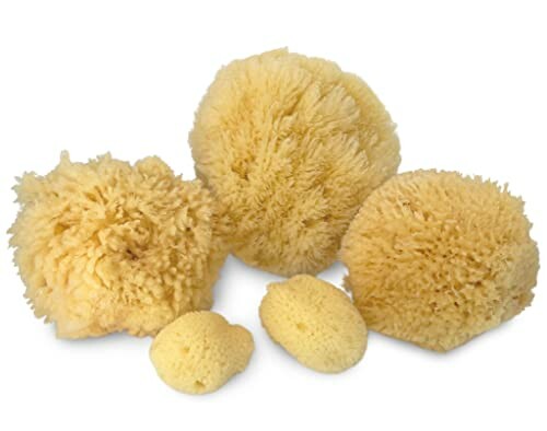 Real Natural Sea Sponges 5pc Spa Gift Set