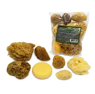 Natural Sea & Synthetic Sponges Value Pack