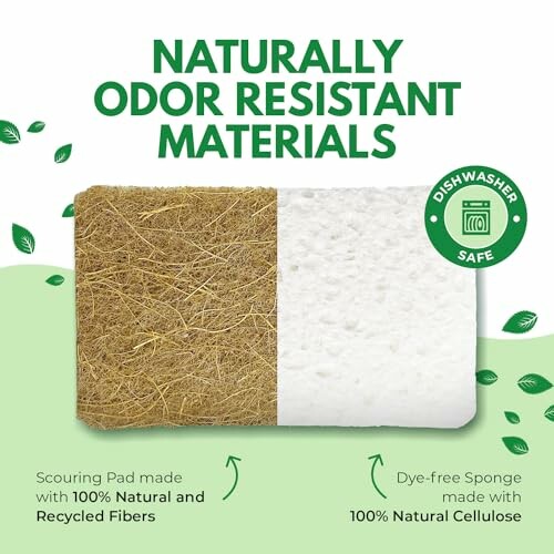 Sponge with naturally odor resistant materials, scouring pad and cellulose.