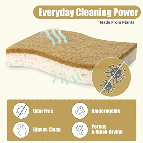 Plant-based cleaning sponge with features like odor-free, biodegradable, and quick-drying.