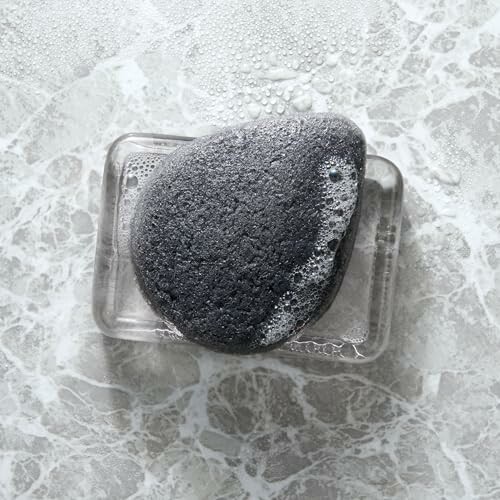 Pumice stone on a soapy dish