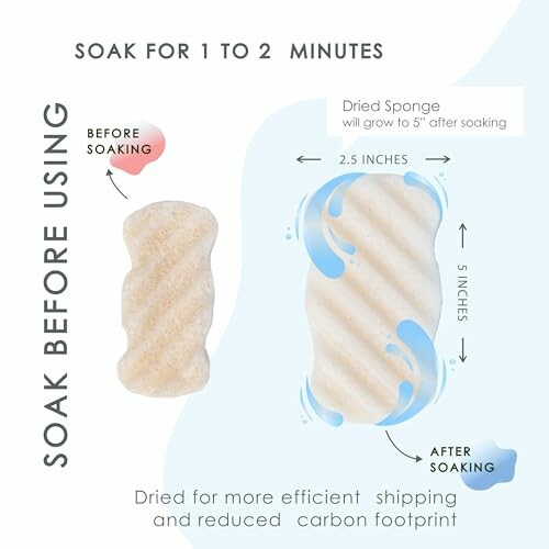 Dried sponge before and after soaking, showing size increase.