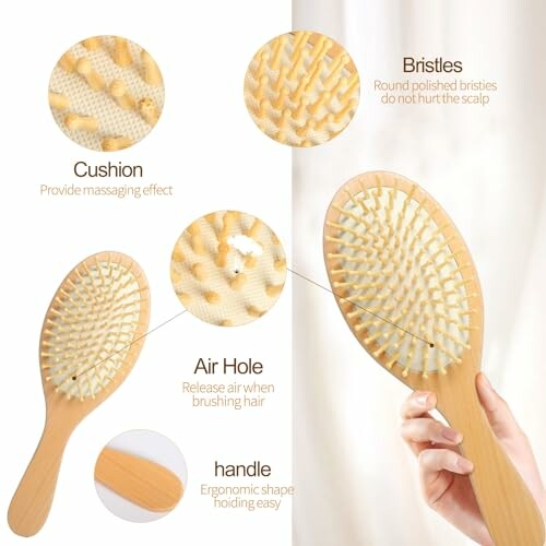 Wooden hair brush with details on bristles, cushion, air hole, and handle.